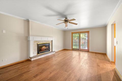 542 E Carpenter Dr, Palatine, IL 60074 photo 10