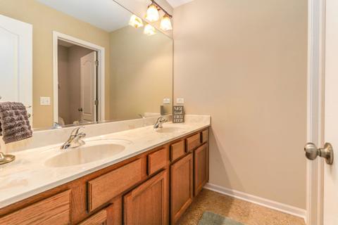 27028 Ashgate Xing, Plainfield, IL 60585 photo 20
