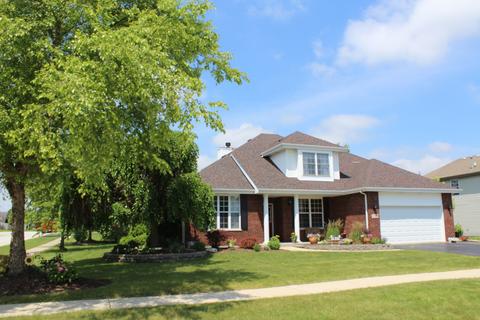 25780 S Taft St, Monee, IL 60449 photo 1