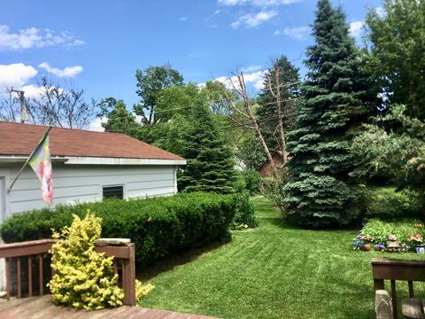 919 Webster Ln, Des Plaines, IL 60016 photo 5