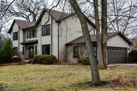 895 Red Oak Ave, Addison, IL 60101 photo 2