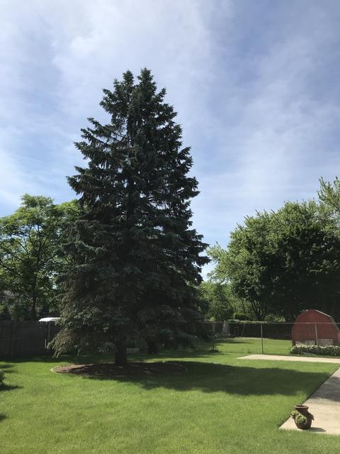 1087 Peace Dr, Wheeling, IL 60090 photo 18