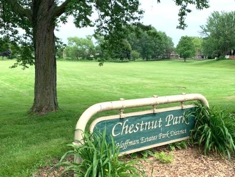 883 N Dovington Dr, Hoffman Estates, IL 60169 photo 36
