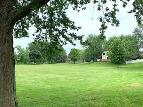 883 N Dovington Dr, Hoffman Estates, IL 60169 photo 37