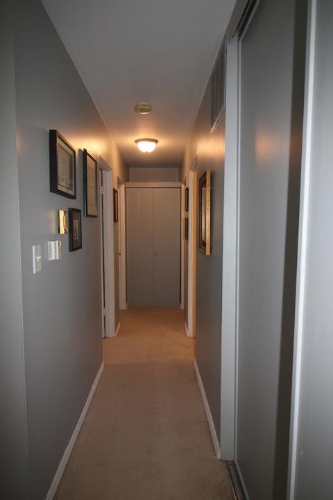 910 Green Ave, Normal, IL 61761 photo 18
