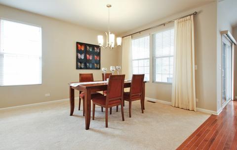 2172 Dauntless Dr, Glenview, IL 60026 photo 4