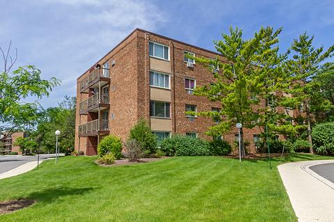 1500 Robin Cir #403, Hoffman Estates, IL 60169 photo 1