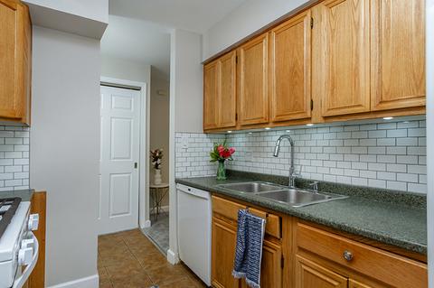 1500 Robin Cir #403, Hoffman Estates, IL 60169 photo 9
