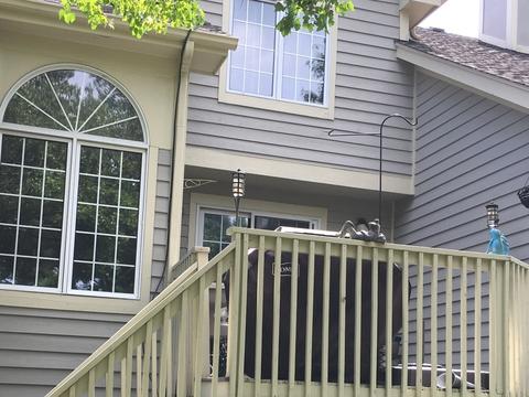 334 Pebble Beach Ln, Bartlett, IL 60103 photo 4