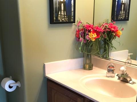 334 Pebble Beach Ln, Bartlett, IL 60103 photo 19