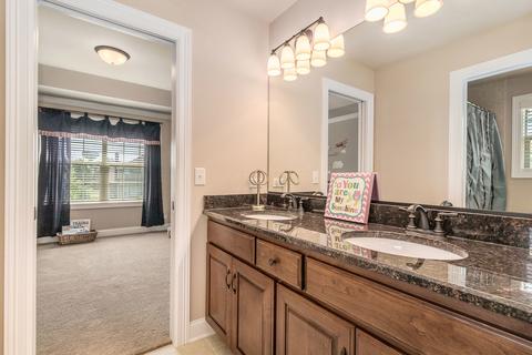 12908 Alpine Way, Plainfield, IL 60585 photo 28
