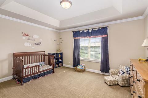12908 Alpine Way, Plainfield, IL 60585 photo 26