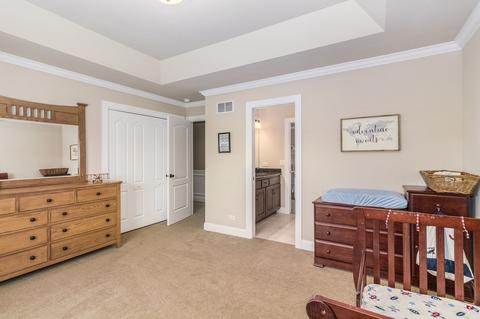 12908 Alpine Way, Plainfield, IL 60585 photo 27