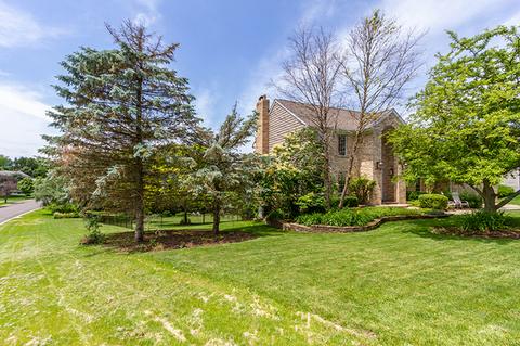 1390 Braewood Dr, Algonquin, IL 60102 photo 47