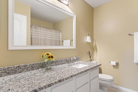 1859 Lisson Rd, Naperville, IL 60565 photo 26