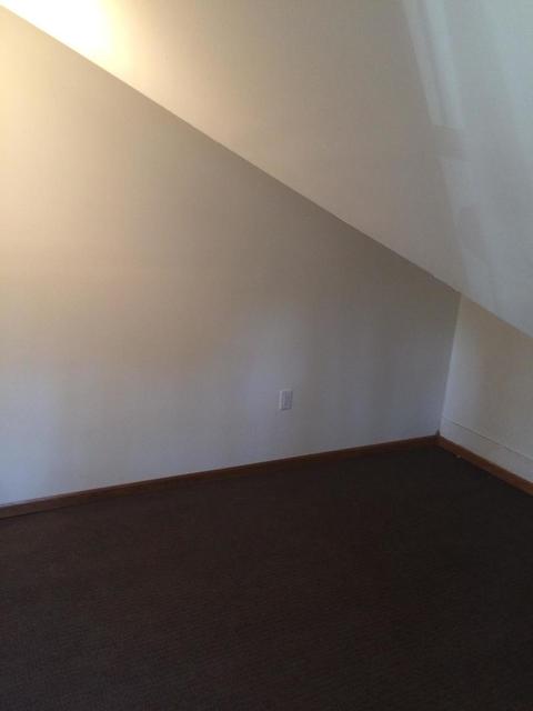 403 E 3rd St, Gilman, IL 60938 photo 23