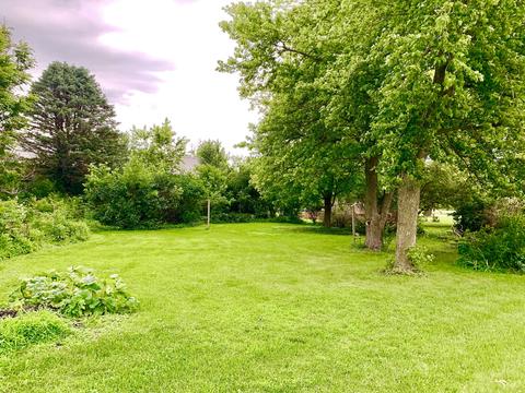 621 S Carson St, Long Point, IL 61333 photo 4