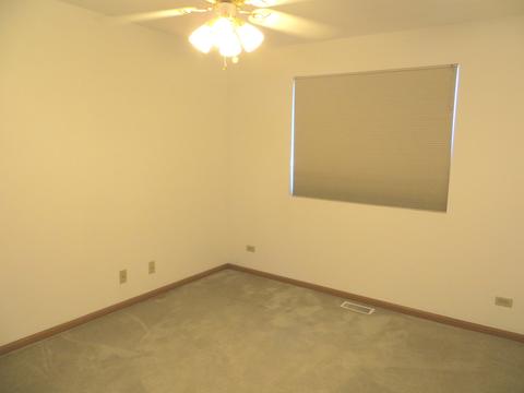1429 Hawk Dr, Bolingbrook, IL 60490 photo 12