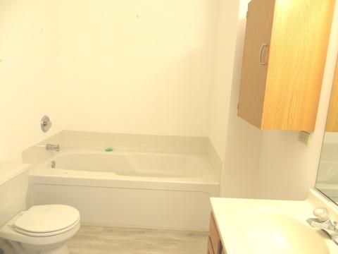 1429 Hawk Dr, Bolingbrook, IL 60490 photo 14