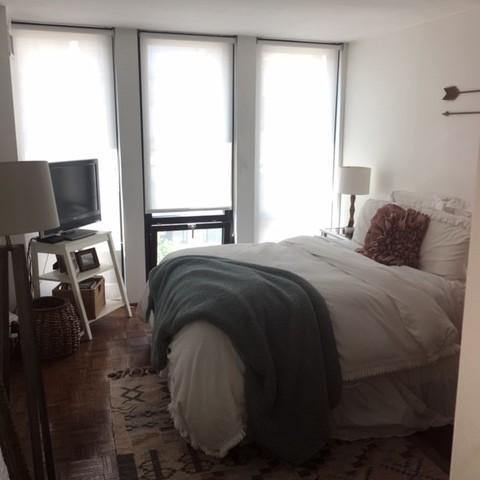 1 E Scott St #504, Chicago, IL 60610 photo 7