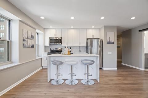 40 E 9th St #1011, Chicago, IL 60605 photo 11