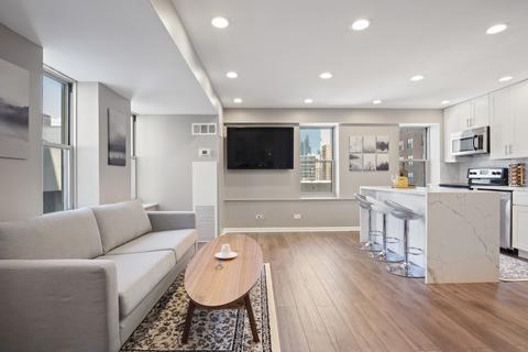 40 E 9th St #1011, Chicago, IL 60605 photo 3