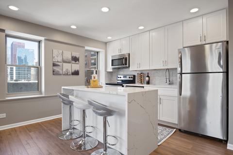 40 E 9th St #1011, Chicago, IL 60605 photo 2