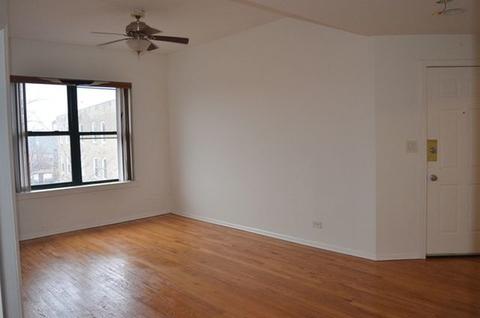 301 E 50th St #C, Chicago, IL 60615 photo 3