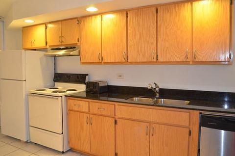 301 E 50th St #C, Chicago, IL 60615 photo 2