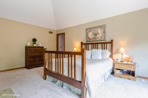 601 Fairway View Dr, Algonquin, IL 60102 photo 11
