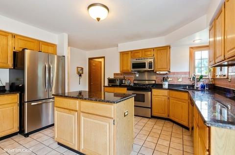 601 Fairway View Dr, Algonquin, IL 60102 photo 8