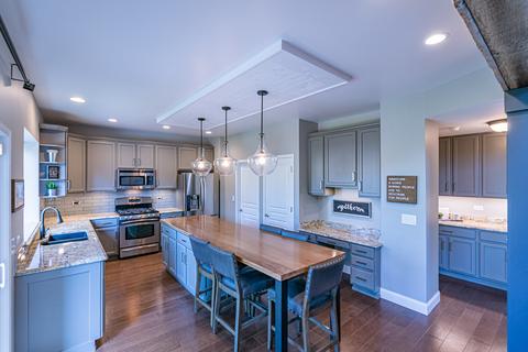 24105 Newcastle St, Plainfield, IL 60585 photo 8