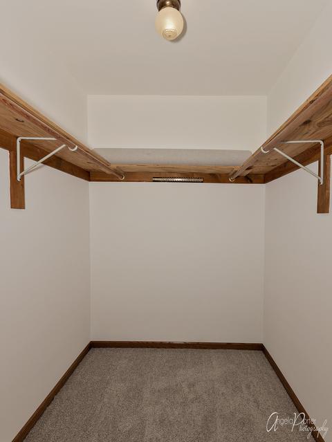 2011 Villanova Dr, Johnsburg, IL 60051 photo 17