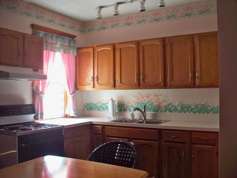 602 Edwards St, Aurora, IL 60505 photo 4