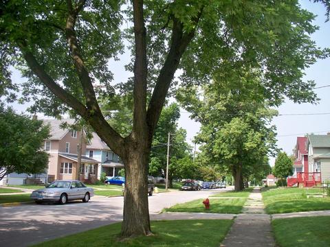 602 Edwards St, Aurora, IL 60505 photo 13