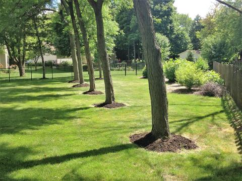 5 Cardiff Ct, Algonquin, IL 60102 photo 25