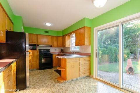 808 Cedar Ave, Elgin, IL 60120 photo 6