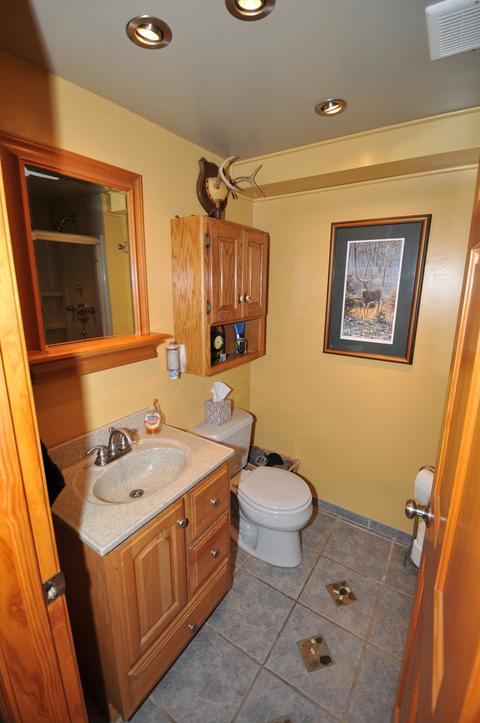 1017 Fall Cir, Roselle, IL 60172 photo 23