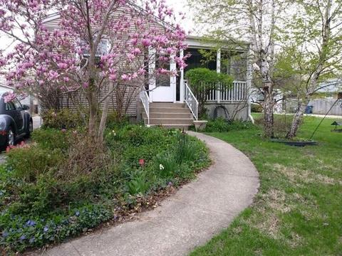 4608 Grove Ave, Forest View, IL 60402 photo 18