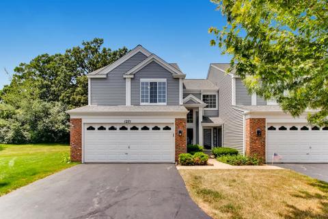 1271 River Ash Ct, Bartlett, IL 60103 photo 1