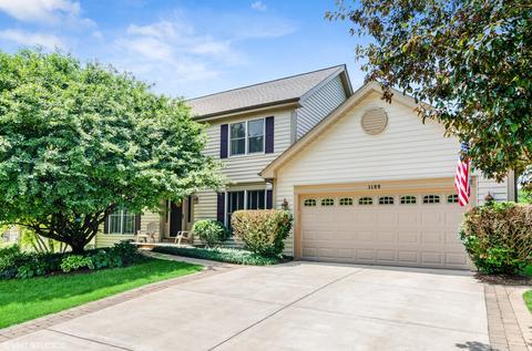 1122 Thatcher Trl, West Dundee, IL 60118 photo 1