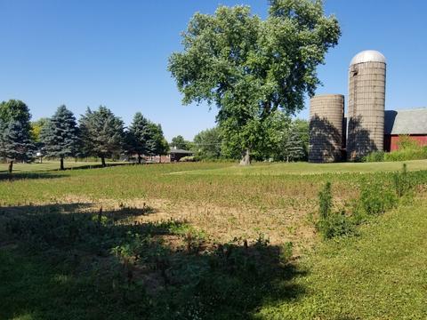 8 N108 Stevens Rd, Elgin, IL 60124 photo 23