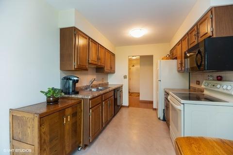 711 S River Rd #516, Des Plaines, IL 60016 photo 6
