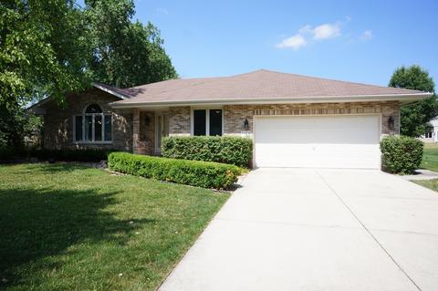 9828 Forestview Dr, Mokena, IL 60448 photo 1