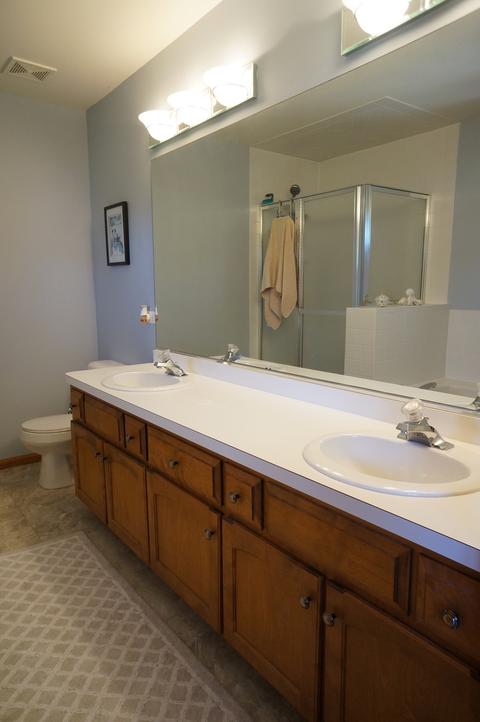 9828 Forestview Dr, Mokena, IL 60448 photo 16