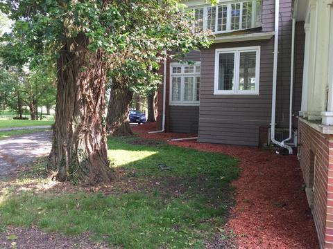 7 Cottage Row, Midlothian, IL 60445 photo 40