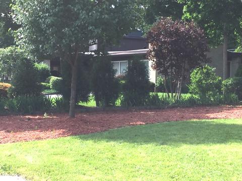7 Cottage Row, Midlothian, IL 60445 photo 38