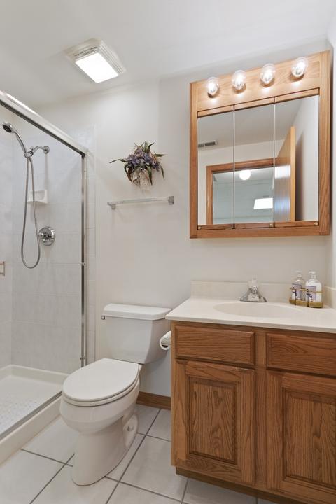 21409 W Juniper Ln, Plainfield, IL 60544 photo 17
