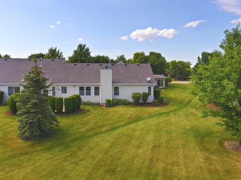 21409 W Juniper Ln, Plainfield, IL 60544 photo 19