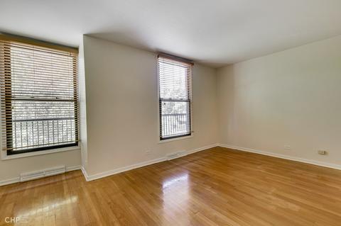 919 E 54th Pl, Chicago, IL 60615 photo 12